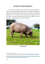 Конспект 'Spāņu vītinātās gaļas "Jamón Ibérico" gatavošanas tehnoloģijas', 10.