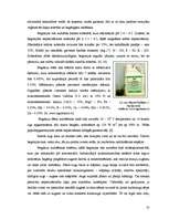 Реферат 'Begoniju aizsardzības projekts begoniju audzēšanai modeļsaimniecībā', 10.