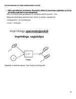 Конспект 'Molekulārā bioloģija un ģenētika', 53.