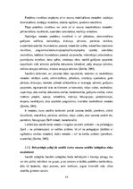 Реферат 'Sociālā darbinieka resursi cilvēku ar garīga rakstura traucējumiem dzīves kvalit', 16.