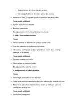 Конспект 'Kāzu scenārijs: svētku prieks, mīlestība un neaizmirstami mirkļi', 19.