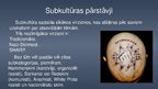 Презентация 'Subkultūra "Skinhedi"', 5.