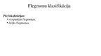 Презентация 'Flegmona', 9.