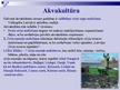 Презентация 'Zivsaimniecības nozare Latvijā', 13.
