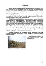 Реферат 'Neizsmeļamie enerģijas avoti, koksnes potenciālā loma enerģētikā, alternatīvi bi', 22.