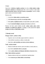 Образец документа 'Sporta diena pirmsskolā: fizisko, sociālo un radošo prasmju veicināšana bērniem', 1.