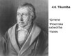 Презентация 'Georga Vilhelma Frīdriha Hēgeļa tiesību un valsts filozofija', 6.