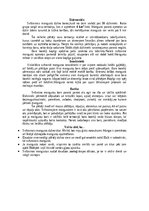 Реферат 'Mangusti', 9.