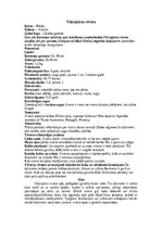 Реферат 'Mangusti', 13.