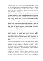 Эссе 'Etika: morāles principi un cilvēka rīcība mūsdienu un nākotnes sabiedrībā', 4.