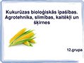 Презентация 'Kukurūzas bioloģiskās īpašības. Agrotehnika, slimības, kaitēkļi un šķirnes', 1.