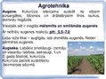 Презентация 'Kukurūzas bioloģiskās īpašības. Agrotehnika, slimības, kaitēkļi un šķirnes', 3.