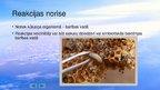 Презентация 'Polietilēna biodegradācija ar kāpuru palīdzību', 13.