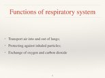 Презентация 'Respiratory System', 5.