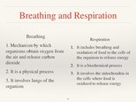 Презентация 'Respiratory System', 6.