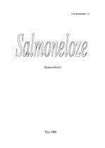 Реферат 'Salmoneloze', 1.