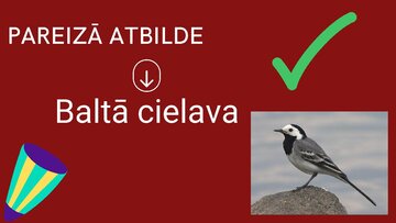 Презентация 'Spēle "Cik daudz tu zini par latviešu kultūru, tradīcijām?"', 5.