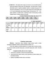 Реферат 'Uzņēmuma "VDI" vadīšanas sistēmas analīze un novērtējums', 17.