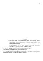 Реферат 'Uzņēmuma "VDI" vadīšanas sistēmas analīze un novērtējums', 27.