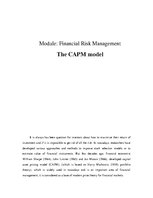 Реферат 'Financial Risk Management. The CAPM Model', 1.