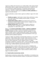 Образец документа 'Krājumu uzskaites un analīzes izvērtējums uzņēmumā AS Amber', 20.