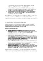 Образец документа 'Krājumu uzskaites un analīzes izvērtējums uzņēmumā AS Amber', 63.