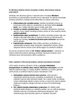 Образец документа 'Krājumu uzskaites un analīzes izvērtējums uzņēmumā AS Amber', 93.