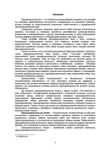 Реферат 'Основные типы и виды предпринимательской деятельности в Латвии', 3.
