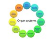 Презентация 'Changes of Different Organ Systems during Pregnancy', 2.