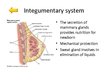 Презентация 'Changes of Different Organ Systems during Pregnancy', 12.