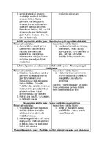 Отчёт по практике 'Pirmsskolas skolotāja pedagoģiskās prakses atskaite (IV)', 8.