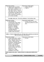 Отчёт по практике 'Pirmsskolas skolotāja pedagoģiskās prakses atskaite (IV)', 9.