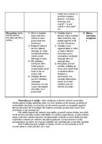 Отчёт по практике 'Pirmsskolas skolotāja pedagoģiskās prakses atskaite (IV)', 35.