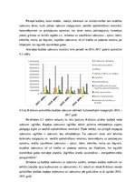 Реферат 'Krāslavas novada pašvaldības budžeta analīze', 21.