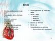 Презентация 'Sirds un asinsvadu sistēma. Asinsrite', 13.