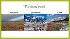 Презентация 'Tundra', 3.