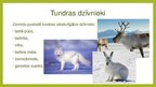 Презентация 'Tundra', 5.