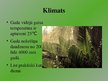 Презентация 'Mitrie tropiskie meži', 7.