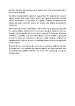 Эссе 'Politiskā struktūra senajā Romā - ķēniņu un republikas periods', 2.