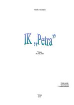 Бизнес план 'IK "Petra"', 1.