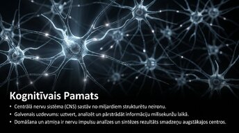 Презентация 'Uzmanība un kognitīvie procesi', 2.