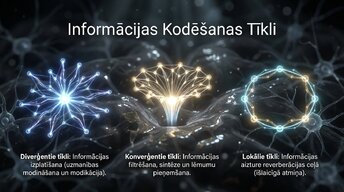 Презентация 'Uzmanība un kognitīvie procesi', 8.