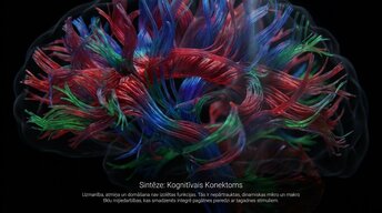 Презентация 'Uzmanība un kognitīvie procesi', 11.