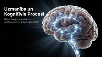 Презентация 'Uzmanība un kognitīvie procesi', 12.