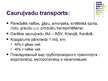 Презентация 'Transports', 13.