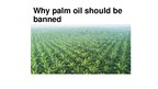 Презентация 'Palm Oil', 1.