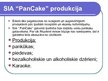 Презентация 'Biznesa plāna prezentācija "Pankūku kafejnīca "PanCake""', 17.