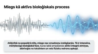Презентация 'Miega nozīme smadzeņu atjaunošanā un izdegšanas profilaksē', 4.