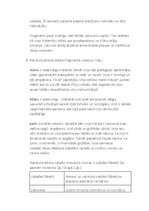 Конспект 'Teksta analīze', 4.