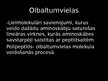 Презентация 'Olbaltumvielas', 3.
